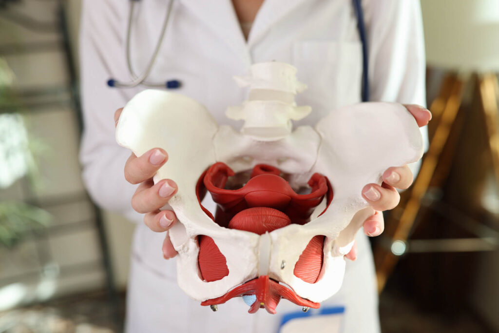 Bphac Orthopedic Physical Therapy