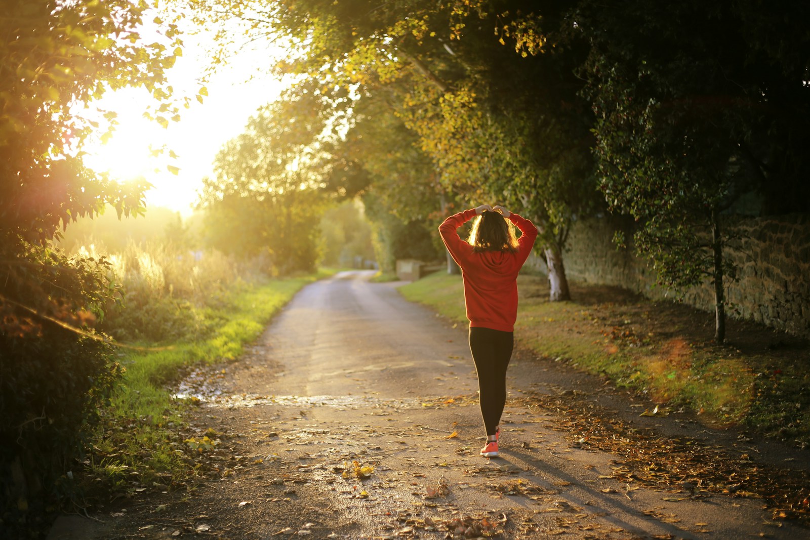 Menopause & Acupuncture: A Natural Path to Relief